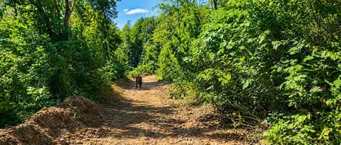 36 Acres Baptist Vly, Cedar Bluff, VA 24609 photo 19