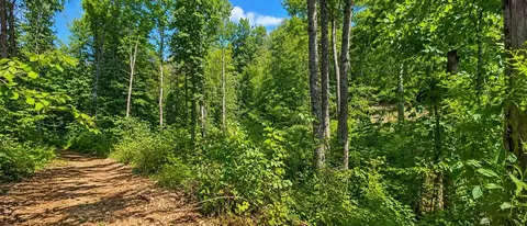 36 Acres Baptist Vly, Cedar Bluff, VA 24609 photo 23