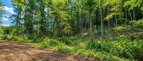 36 Acres Baptist Vly, Cedar Bluff, VA 24609 photo 13