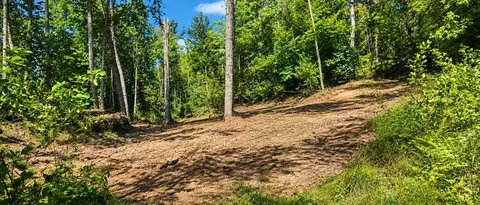 36 Acres Baptist Vly, Cedar Bluff, VA 24609 photo 20