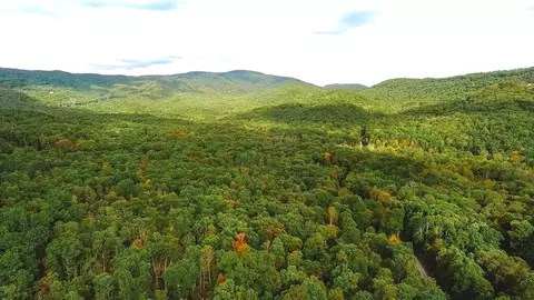 lot88 Nye Valley Rd, Bastian, VA 24314
