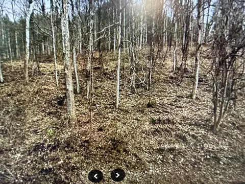 tbd Riverside Dr, Raven, VA 24639 photo 2