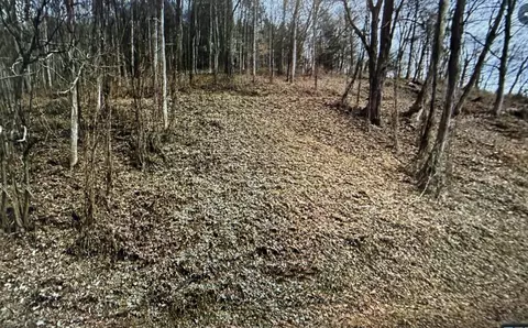 tbd Riverside Dr, Raven, VA 24639