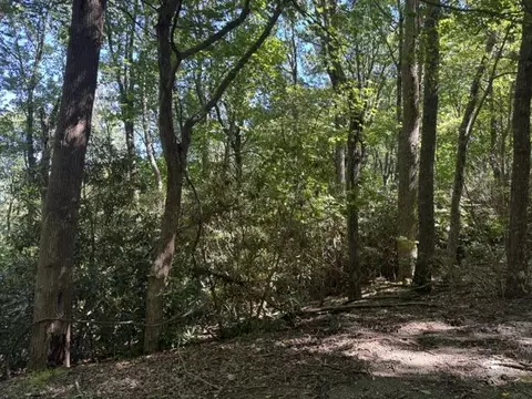 tbd Crooked White Oak Trl, Hillsville, VA 24343