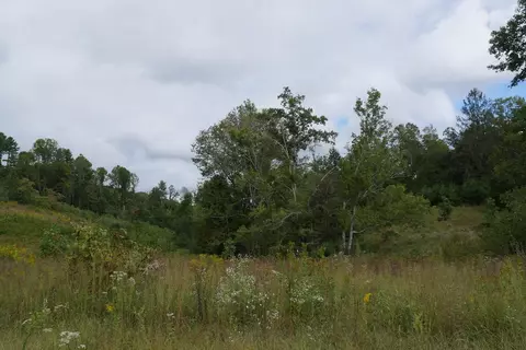 0 Brumley Gap Rd, Abingdon, VA 24210 photo 22