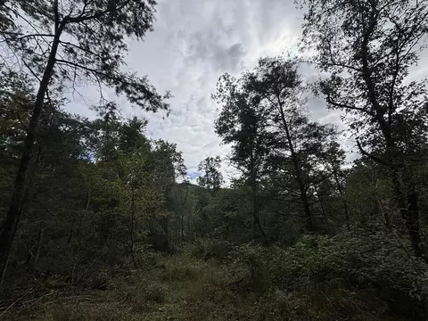 0 Brumley Gap Rd, Abingdon, VA 24210 photo 40
