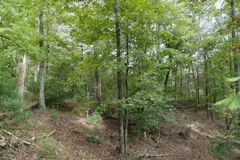 0 Brumley Gap Rd, Abingdon, VA 24210 photo 31