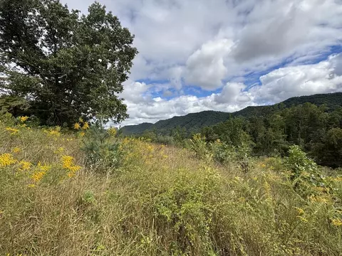 0 Brumley Gap Rd, Abingdon, VA 24210 photo 3