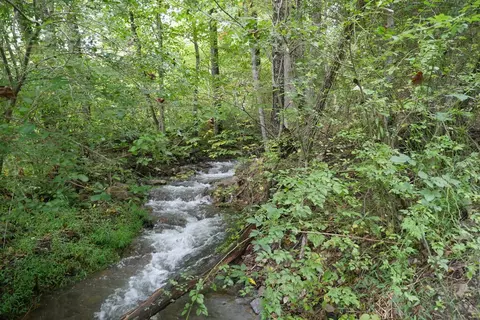 0 Brumley Gap Rd, Abingdon, VA 24210 photo 13