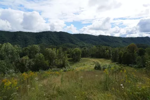 0 Brumley Gap Rd, Abingdon, VA 24210 photo 7