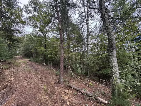 0 Brumley Gap Rd, Abingdon, VA 24210 photo 41