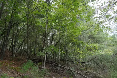 0 Brumley Gap Rd, Abingdon, VA 24210 photo 25
