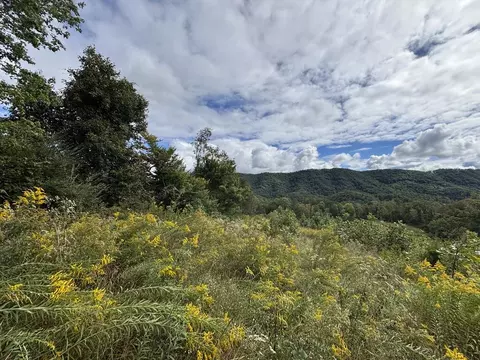 0 Brumley Gap Rd, Abingdon, VA 24210 photo 52