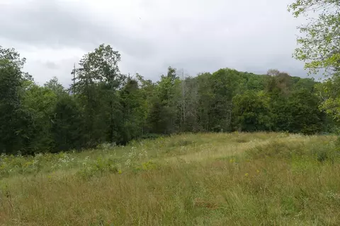 0 Brumley Gap Rd, Abingdon, VA 24210 photo 11