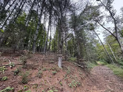 0 Brumley Gap Rd, Abingdon, VA 24210 photo 37