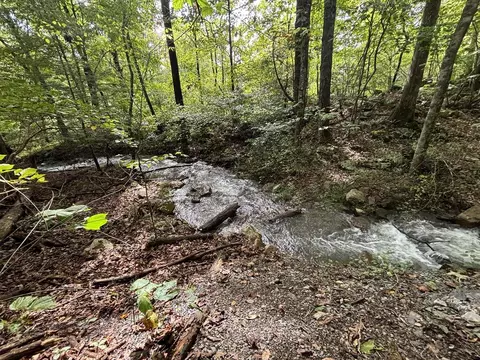 0 Brumley Gap Rd, Abingdon, VA 24210 photo 66