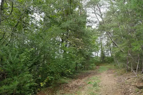 0 Brumley Gap Rd, Abingdon, VA 24210 photo 74