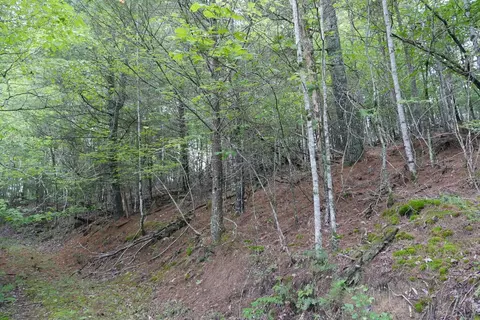 0 Brumley Gap Rd, Abingdon, VA 24210 photo 24