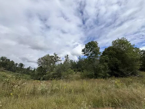 0 Brumley Gap Rd, Abingdon, VA 24210 photo 9