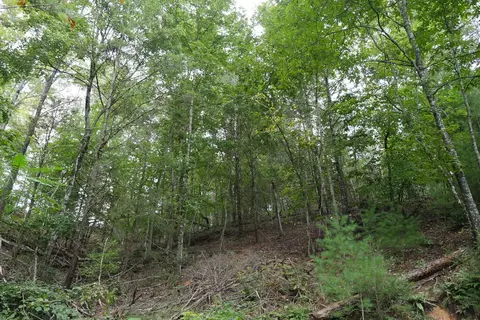 0 Brumley Gap Rd, Abingdon, VA 24210 photo 72