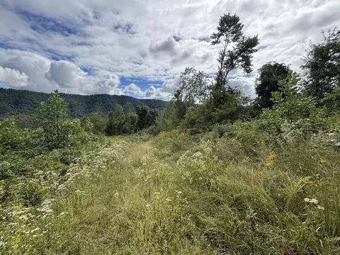 0 Brumley Gap Rd, Abingdon, VA 24210 photo 58