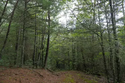 0 Brumley Gap Rd, Abingdon, VA 24210 photo 76