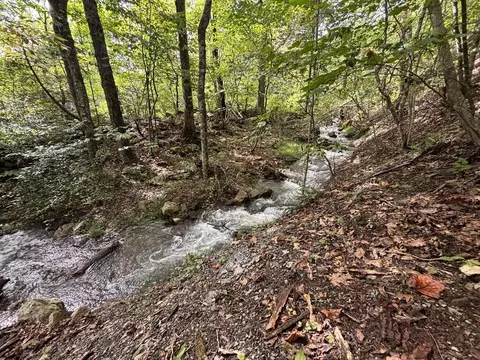 0 Brumley Gap Rd, Abingdon, VA 24210 photo 67