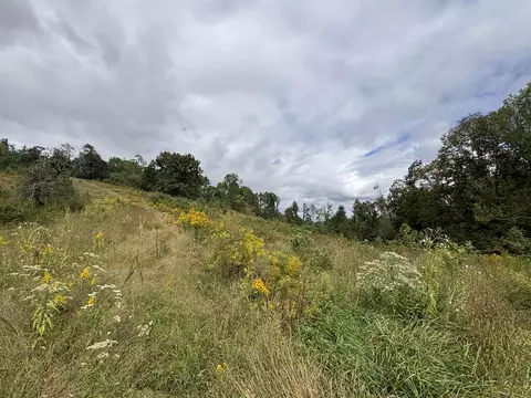 0 Brumley Gap Rd, Abingdon, VA 24210 photo 62