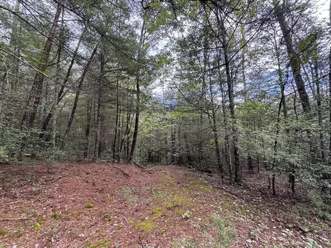 0 Brumley Gap Rd, Abingdon, VA 24210 photo 44
