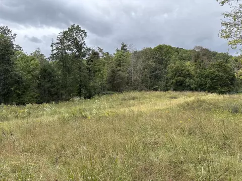 0 Brumley Gap Rd, Abingdon, VA 24210 photo 10