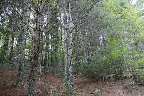 0 Brumley Gap Rd, Abingdon, VA 24210 photo 69