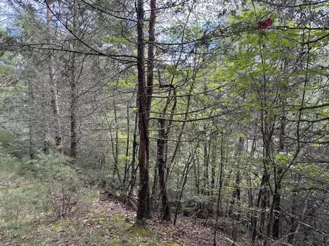 0 Brumley Gap Rd, Abingdon, VA 24210 photo 46
