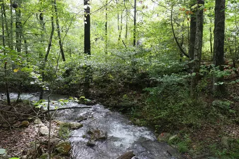 0 Brumley Gap Rd, Abingdon, VA 24210 photo 14