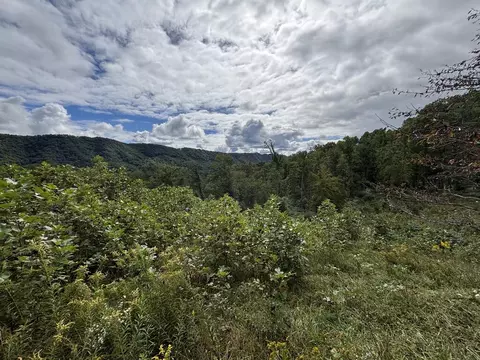 0 Brumley Gap Rd, Abingdon, VA 24210 photo 50