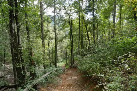 0 Brumley Gap Rd, Abingdon, VA 24210 photo 32