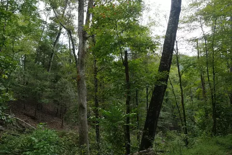 0 Brumley Gap Rd, Abingdon, VA 24210 photo 71