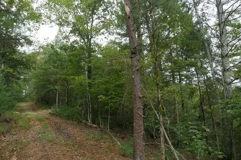 0 Brumley Gap Rd, Abingdon, VA 24210 photo 73