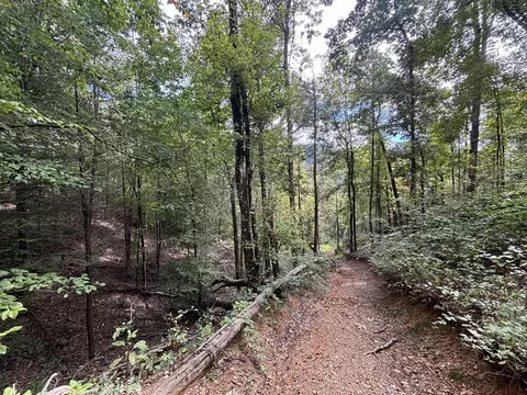 0 Brumley Gap Rd, Abingdon, VA 24210 photo 63