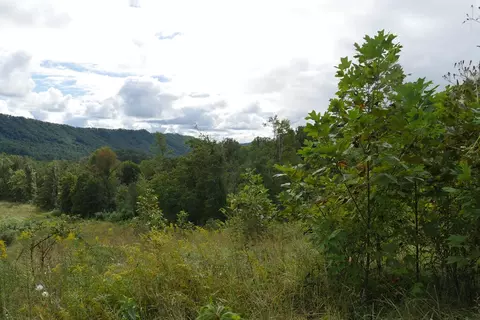0 Brumley Gap Rd, Abingdon, VA 24210 photo 29
