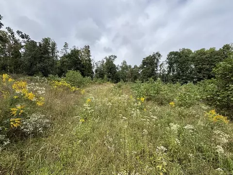 0 Brumley Gap Rd, Abingdon, VA 24210 photo 59