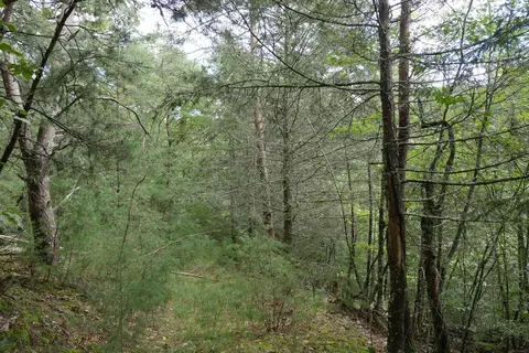 0 Brumley Gap Rd, Abingdon, VA 24210 photo 19