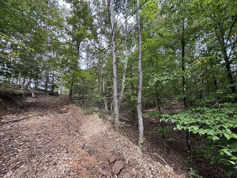 0 Brumley Gap Rd, Abingdon, VA 24210 photo 18