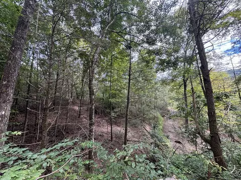 0 Brumley Gap Rd, Abingdon, VA 24210 photo 64