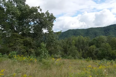 0 Brumley Gap Rd, Abingdon, VA 24210 photo 30