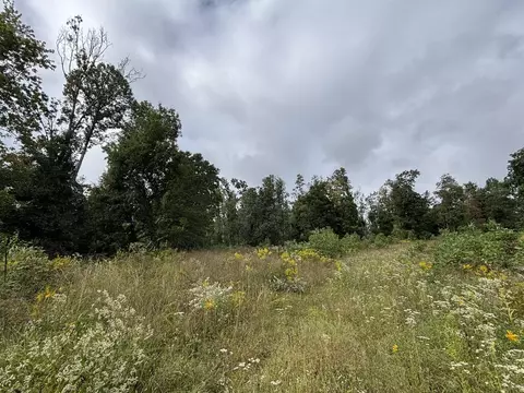 0 Brumley Gap Rd, Abingdon, VA 24210 photo 56