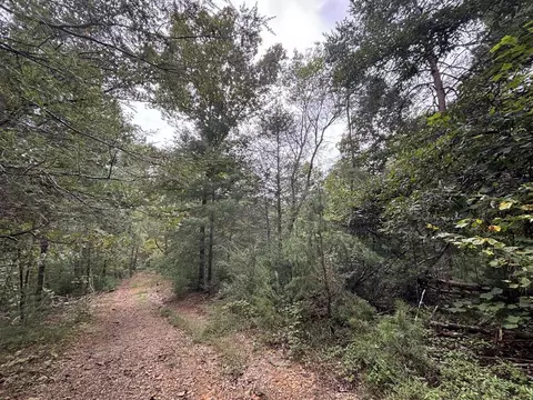0 Brumley Gap Rd, Abingdon, VA 24210 photo 42