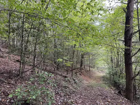 0 Brumley Gap Rd, Abingdon, VA 24210 photo 45