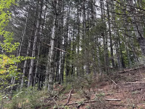 0 Brumley Gap Rd, Abingdon, VA 24210 photo 38