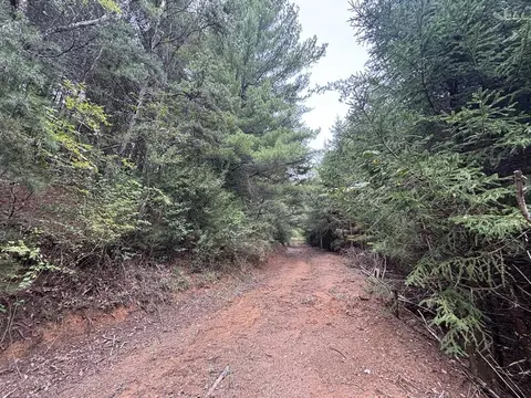 0 Brumley Gap Rd, Abingdon, VA 24210 photo 35