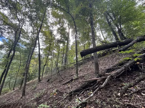 0 Brumley Gap Rd, Abingdon, VA 24210 photo 65